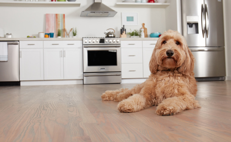 Is Vinyl Plank Flooring Good for Pets?